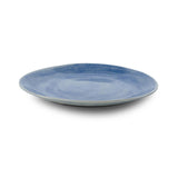 Dinner Plate Standard Plain Wash